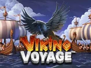 Viking Voyage screenshot